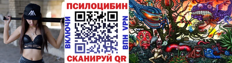 Псилоцибиновые грибы MAGIC MUSHROOMS Прохладный