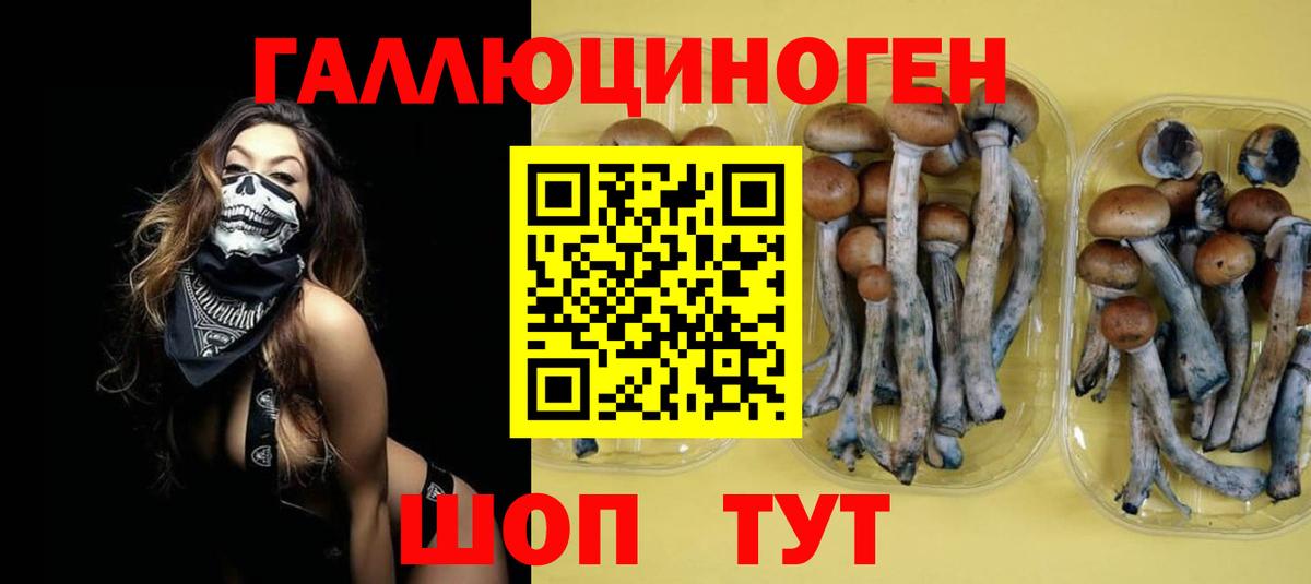 Псилоцибиновые грибы мицелий Прохладный